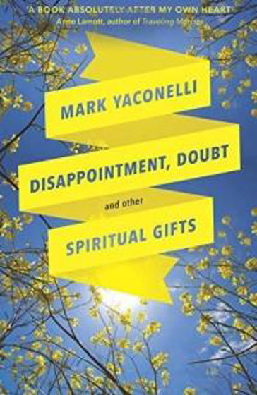 Picture of DISAPPOINTMENT DOUBT AND OTHER SPIRITUAL