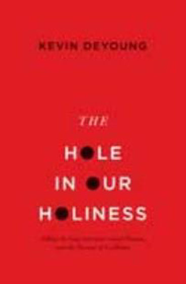 Picture of HOLE IN OUR HOLINESS PB