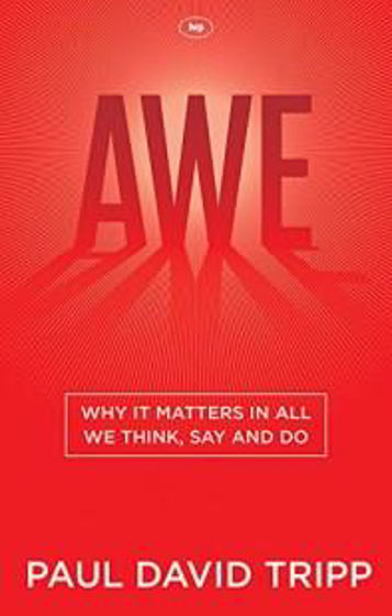 Picture of AWE: WHY IT MATTERS IN ALL WE THINK...PB