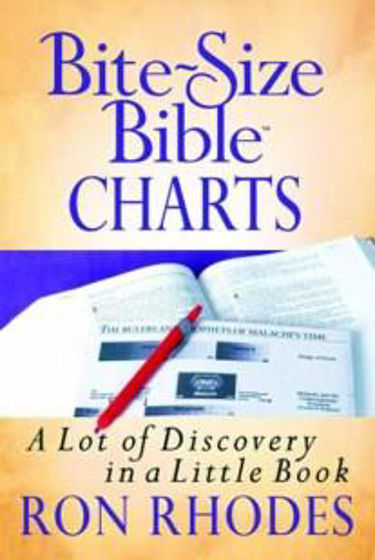 Picture of BITE SIZE BIBLE CHARTS PB