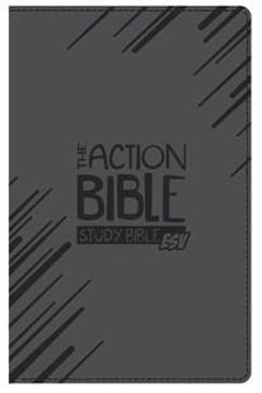 Picture of ESV THE ACTION BIBLE - STUDY BIBLE CHARCOAL IMITATION LEATHER