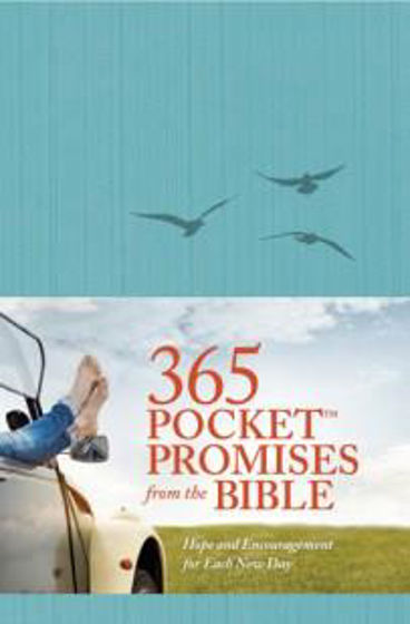 Picture of 365 POCKET PROMISES: TURQUOISE BIRDS PB