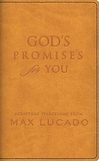 Picture of GODS PROMISES FOR YOU SOFTONE COVER