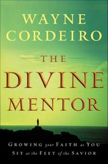 Picture of DIVINE MENTOR THE PB
