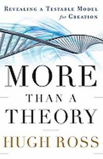 Picture of MORE THAN A THEORY HB