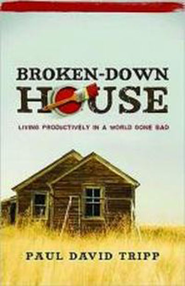 Picture of BROKEN-DOWN HOUSE PB