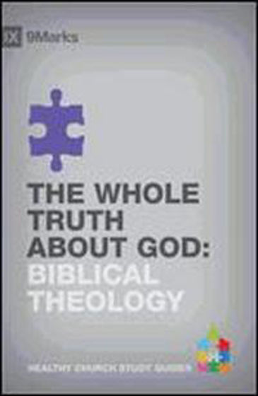 Picture of HEALTHY CHURCH- THE WHOLE TRUTH ABOUT GOD: THEOLOGY PB