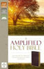 Picture of AMPLIFIED BIBLE: 2015 EDITION THUMB INDEX BURGUNDY BONDED LEATHER