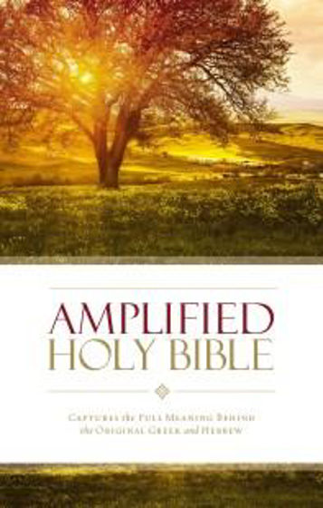 Picture of AMPLIFIED BIBLE 2015 EDITION HB