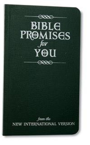 Picture of BIBLE PROMISES FOR YOU NIV PB