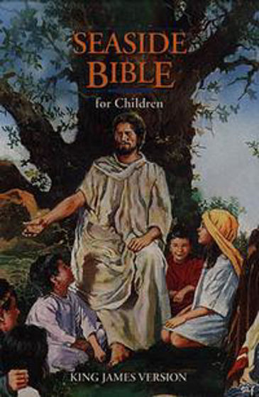 Picture of AV CHILDRENS SEASIDE BIBLE HB