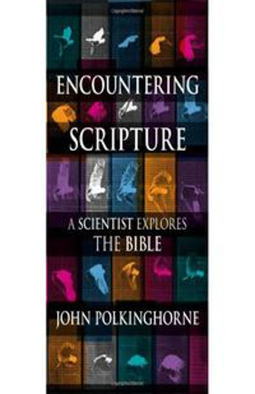 Picture of ENCOUNTERING SCRIPTURE PB