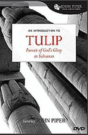 Picture of TULIP DVD