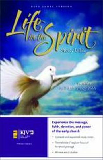 Picture of AV LIFE IN THE SPIRIT STUDY BIBLE HB