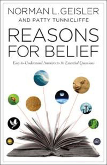 Picture of REASONS BEYOND BELIEF PB
