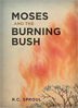Picture of MOSES AND THE BURNING BUSH HB