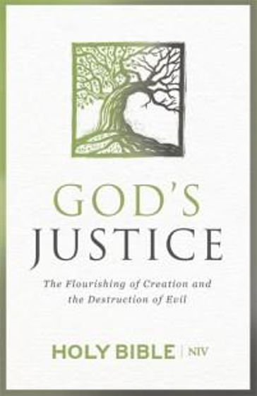 Picture of NIV GOD'S JUSTICE BIBLE BRITISH TEXT BLUE SOFTBACK