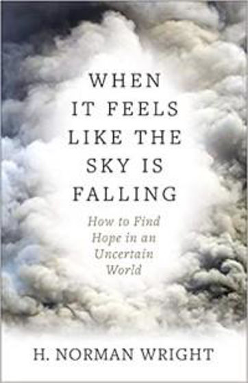 Picture of WHEN IT FEELS LIKE THE SKY IS FALLING: How to Find Hope in an Uncertain World  PB