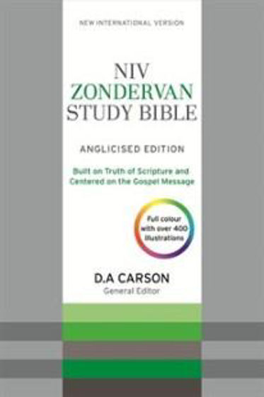 Picture of NIV ZONDERVAN STUDY ANGLICISED EDITION GREY IMITATION LEATHER