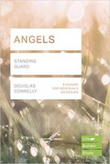 Picture of LIFEBUILDER- ANGELS 8 STUDIES PB