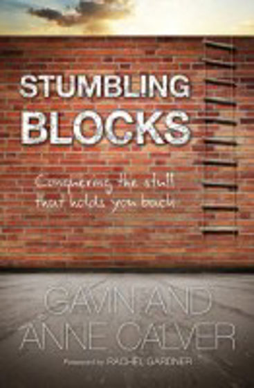 Picture of STUMBLING BLOCKS PB