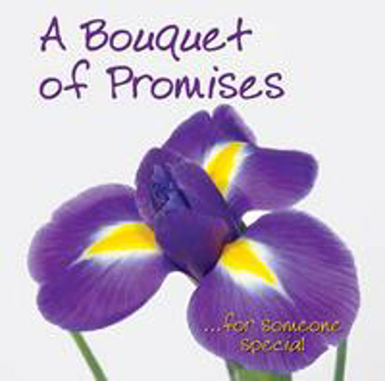 Picture of BOUQUET OF PROMISES A HB