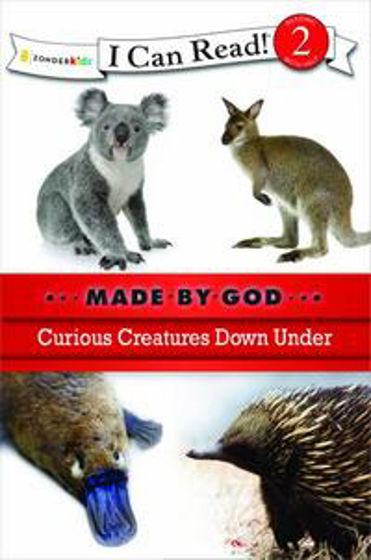 Picture of I CAN READ 2- CURIOUS CREATURES DOWN. PB