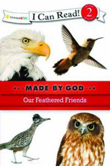 Picture of I CAN READ 2- OUR FEATHERED FRIENDS PB