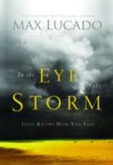 Picture of IN THE EYE OF THE STORM PB