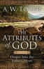 Picture of ATTRIBUTES OF GOD VOLUME 2 PB