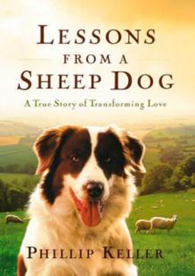 Picture of LESSONS FROM A SHEEPDOG HB