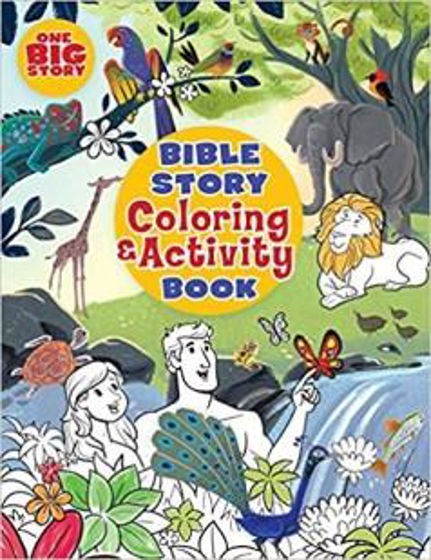 Picture of BIG STORY COLORING & ACTIVITY BOOK PB