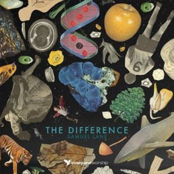 Picture of THE DIFFERENCE CD