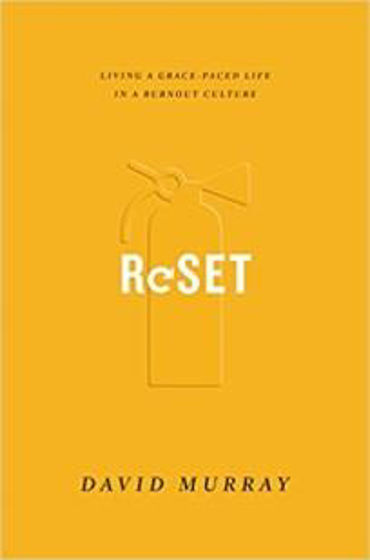 Picture of RESET PB