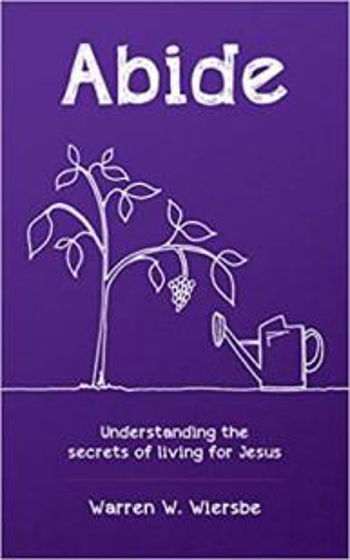 Picture of ABIDE: Understanding the Secrets of Living for Jesus PB