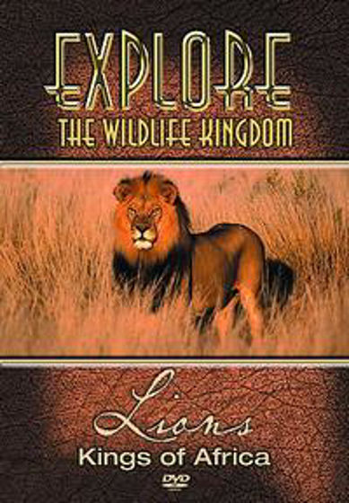 Picture of EXPLORE WILDLIFE- LIONS OF AFRICA DVD