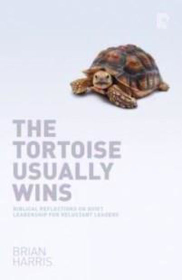 Picture of TORTOISE USUALLY WINS PB