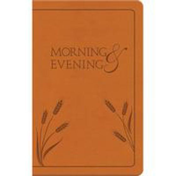 Picture of MORNING AND EVENING NIV SOFTBACK HONEY