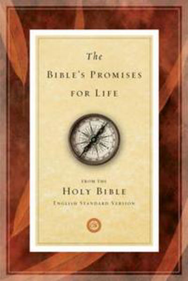 Picture of BIBLE PROMISES FOR LIFE PB
