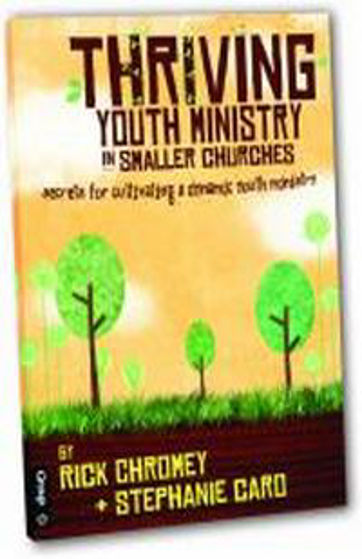 Picture of THRIVING YOUTH MINISTRY IN SMALLER....PB