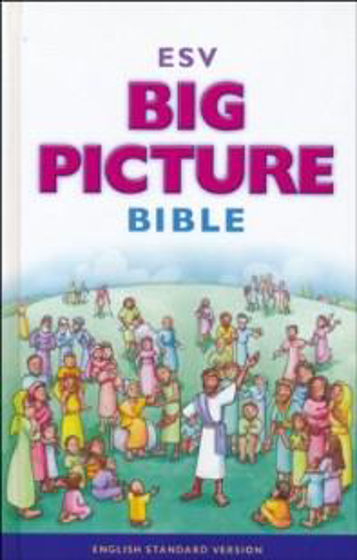 Picture of ESV BIG PICTURE BIBLE HB