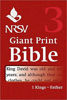 Picture of NRSV VOLUME 3- 1 KINGS- ESTHER GIANT PRINT