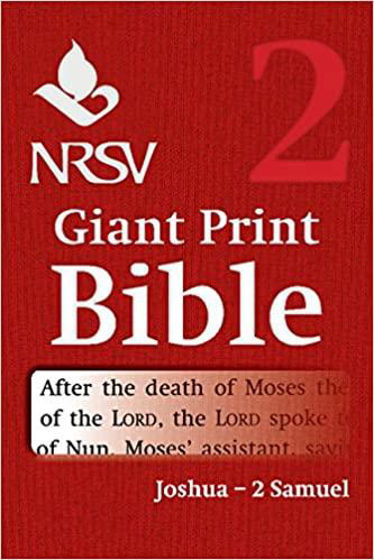 Picture of NRSV VOLUME 2- JOSHUA- II SAMUEL GIANT PRINT