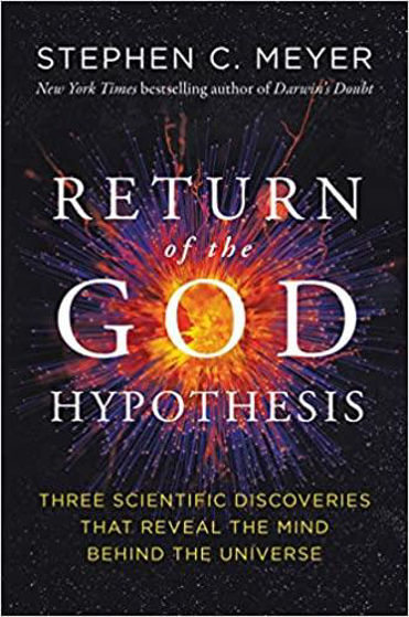 Picture of RETURN OF THE GOD HYPOTHESIS HB