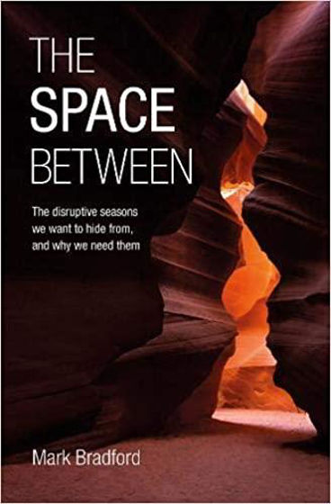 Picture of THE SPACE BETWEEN: The disruptive seasons we want to hide from, and why we need them PB