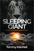 Picture of SLEEPING GIANT: A Call to the Church to Awake and Arise! PB