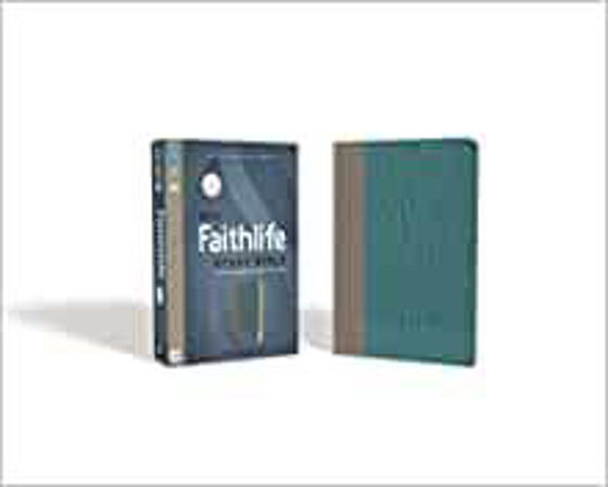 Picture of NIV FAITHLIFE STUDY GRAY/TURQ IMITATION LEATHER THUMB INDEX BIBLE