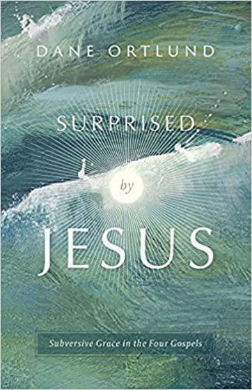 Picture of SURPRISED BY JESUS: Subversive Grace in the Four Gospels PB