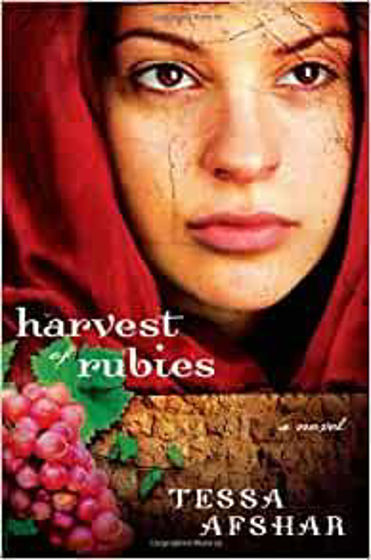 Picture of HARVEST OF RUBIES PB