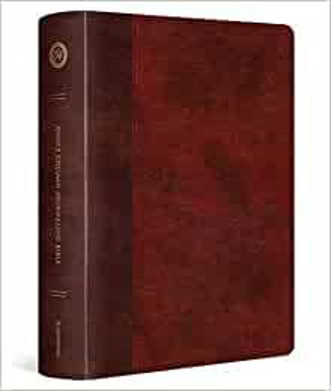 Picture of ESV JOURNALING BIBLE LARGE PRINT BURGUNDY/RED